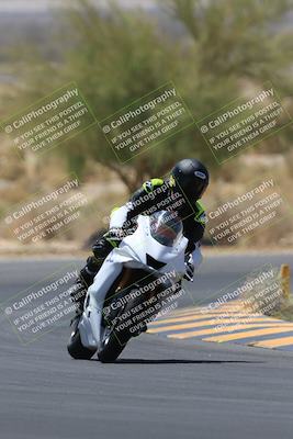 media/May-14-2023-SoCal Trackdays (Sun) [[024eb53b40]]/Turn 5 Tree of Life (1125am)/